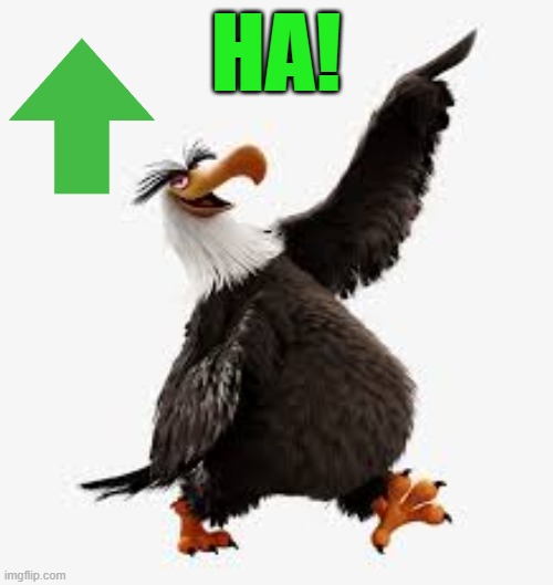 angry birds eagle | HA! | image tagged in angry birds eagle | made w/ Imgflip meme maker