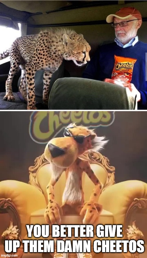 GIVE EM UP | YOU BETTER GIVE UP THEM DAMN CHEETOS | image tagged in memes,cheetos,cheetah,cats | made w/ Imgflip meme maker