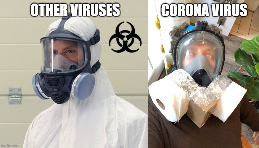 CORONA VIRUS; OTHER VIRUSES | image tagged in coronavirus | made w/ Imgflip meme maker