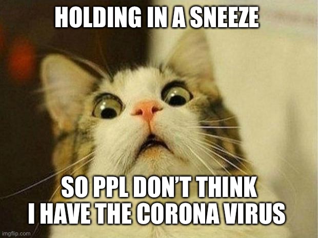 Scared Cat | HOLDING IN A SNEEZE; SO PPL DON’T THINK I HAVE THE CORONA VIRUS | image tagged in memes,scared cat,funny,cats,coronavirus,cat | made w/ Imgflip meme maker