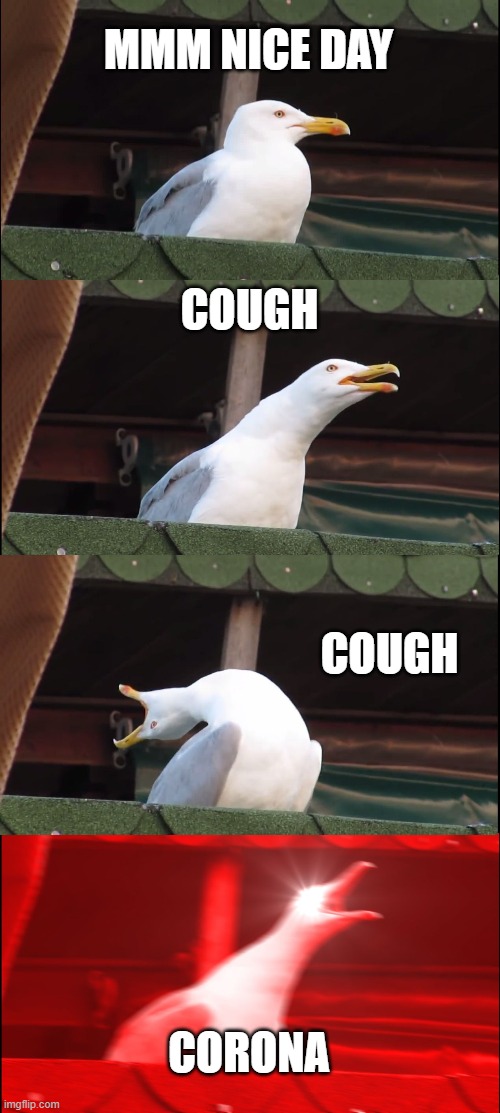 Inhaling Seagull | MMM NICE DAY; COUGH; COUGH; CORONA | image tagged in memes,inhaling seagull | made w/ Imgflip meme maker