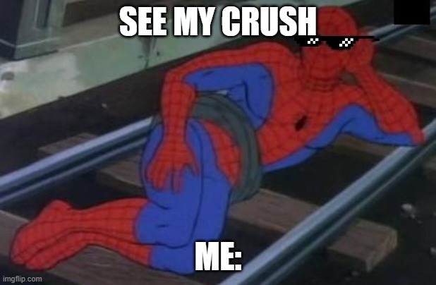 Sexy Railroad Spiderman | SEE MY CRUSH; ME: | image tagged in memes,sexy railroad spiderman,spiderman | made w/ Imgflip meme maker