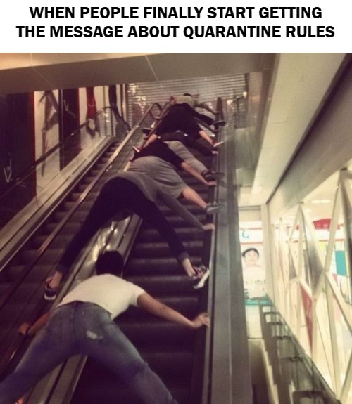 WHEN PEOPLE FINALLY START GETTING THE MESSAGE ABOUT QUARANTINE RULES | image tagged in pluggie | made w/ Imgflip meme maker