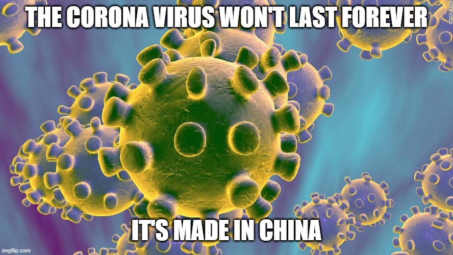 Coronavirus | THE CORONA VIRUS WON'T LAST FOREVER; IT'S MADE IN CHINA | image tagged in coronavirus | made w/ Imgflip meme maker