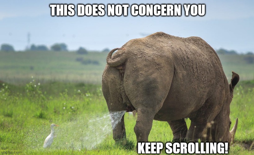 KEEP SCROLLING!!!! | THIS DOES NOT CONCERN YOU; KEEP SCROLLING! | image tagged in ew,hehe | made w/ Imgflip meme maker