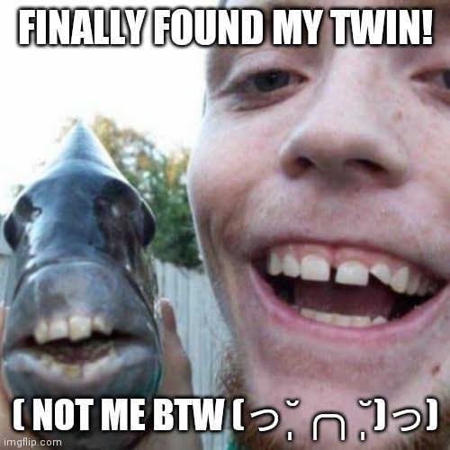 Twinsss | FINALLY FOUND MY TWIN! ( NOT ME BTW (っ˘̩╭╮˘̩)っ) | image tagged in twins | made w/ Imgflip meme maker