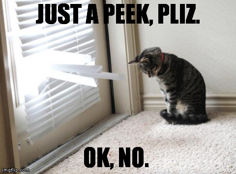 JUST A PEEK, PLIZ. OK, NO. | made w/ Imgflip meme maker