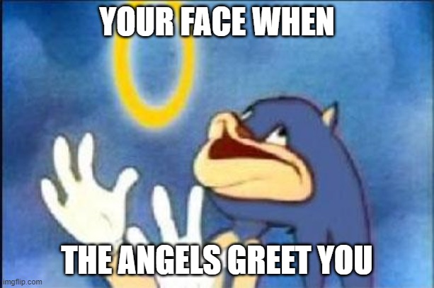 Sonic derp | YOUR FACE WHEN; THE ANGELS GREET YOU | image tagged in sonic derp | made w/ Imgflip meme maker