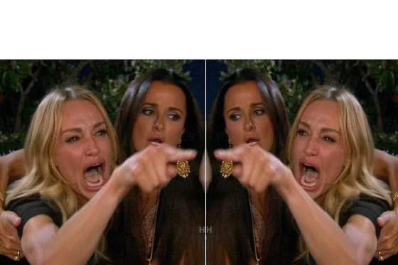 High Quality woman yelling at woman Blank Meme Template