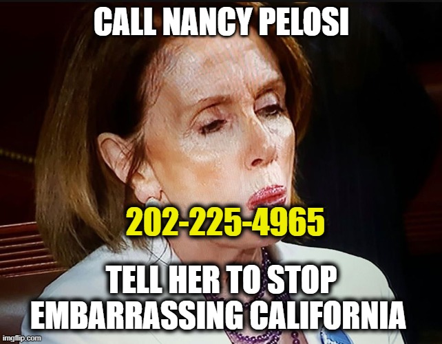 Tell Nancy to Stop Embarrassing California | CALL NANCY PELOSI; 202-225-4965; TELL HER TO STOP EMBARRASSING CALIFORNIA | image tagged in nancy pelosi,liberals,california | made w/ Imgflip meme maker