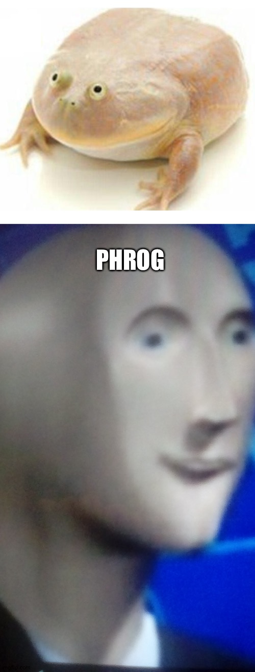 Stonk man head | PHROG | image tagged in stonk man head | made w/ Imgflip meme maker