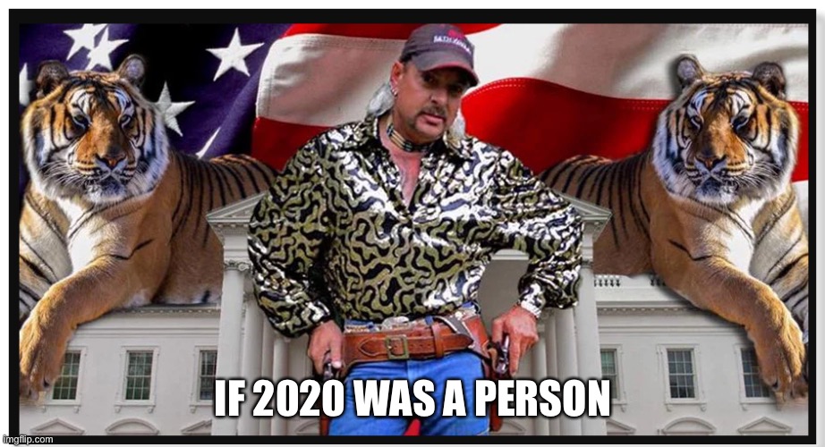 Tiger King is a dumpster fire you can’t take your eyes off of | IF 2020 WAS A PERSON | image tagged in joe exotic,2020,coronavirus,ww3,disaster,fire | made w/ Imgflip meme maker