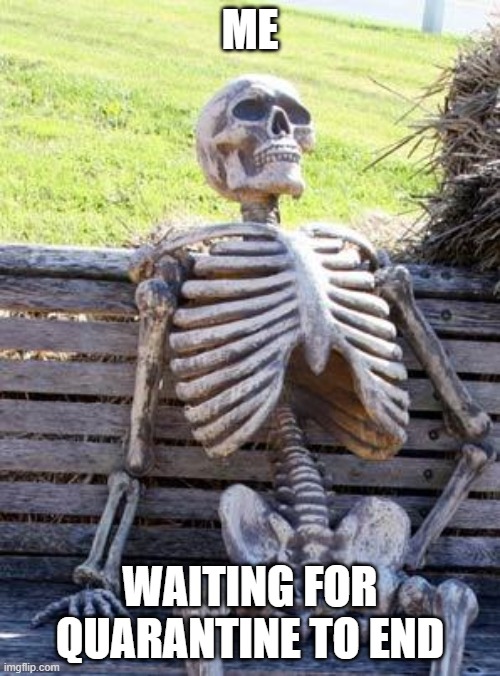 Waiting Skeleton Meme | ME; WAITING FOR QUARANTINE TO END | image tagged in memes,waiting skeleton | made w/ Imgflip meme maker