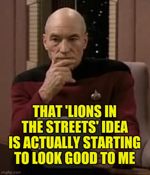 picard thinking | THAT 'LIONS IN THE STREETS' IDEA IS ACTUALLY STARTING TO LOOK GOOD TO ME | image tagged in picard thinking,memes,detroit lions,coronavirus | made w/ Imgflip meme maker