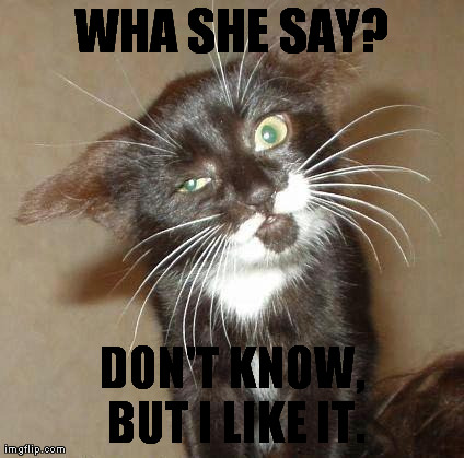 WHA SHE SAY? DON'T KNOW, BUT I LIKE IT. | made w/ Imgflip meme maker