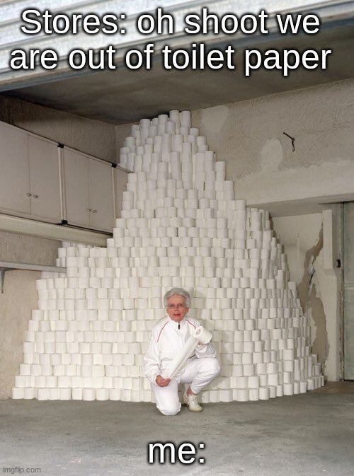 Good Ol' Mount TP | Stores: oh shoot we are out of toilet paper; me: | image tagged in mountain of toilet paper | made w/ Imgflip meme maker