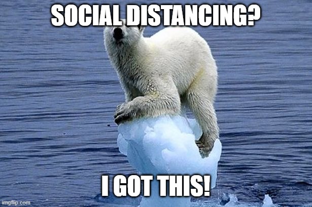 Polar bear climate change - Imgflip