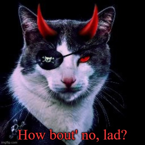 Captain-Pirate_Ememeon | How bout' no, lad? | image tagged in captain-pirate_ememeon | made w/ Imgflip meme maker