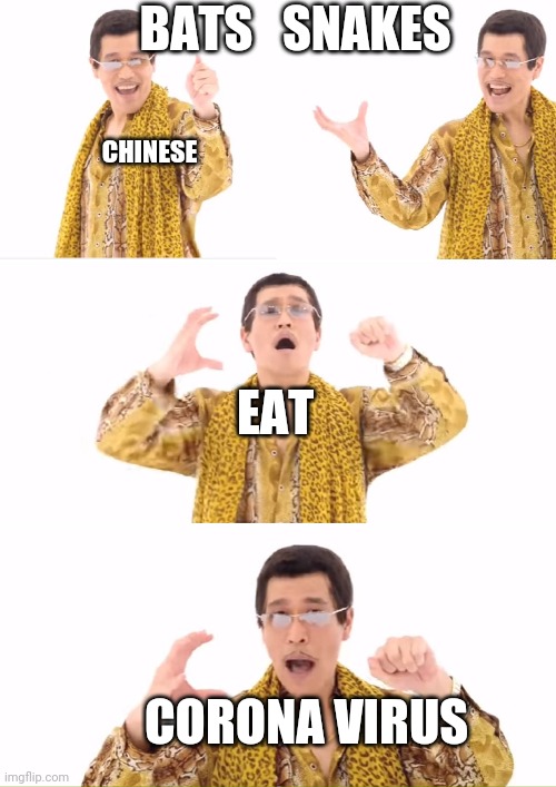 PPAP Meme | BATS   SNAKES; CHINESE; EAT; CORONA VIRUS | image tagged in memes,ppap | made w/ Imgflip meme maker