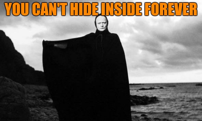 Bergman's death from Seventh Seal | YOU CAN'T HIDE INSIDE FOREVER | image tagged in bergman's death from seventh seal | made w/ Imgflip meme maker