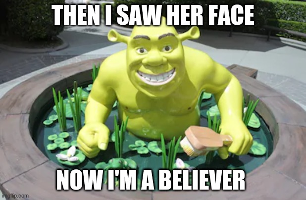 Shrek 5 looks great | THEN I SAW HER FACE; NOW I'M A BELIEVER | image tagged in shrek 5 looks great | made w/ Imgflip meme maker