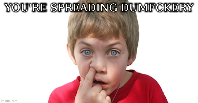 dumb kid | YOU'RE SPREADING DUMFCKERY | image tagged in dumb kid | made w/ Imgflip meme maker