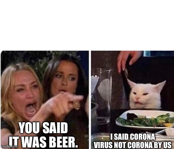 Lady screams at cat | YOU SAID IT WAS BEER. I SAID CORONA VIRUS NOT CORONA BY US | image tagged in lady screams at cat | made w/ Imgflip meme maker