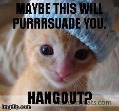 MAYBE THIS WILL PURRRSUADE YOU.  HANGOUT? | made w/ Imgflip meme maker