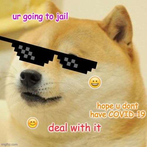 Doge | ur going to jail; 😀; hope u dont have COVID-19; 😊; deal with it | image tagged in memes,doge | made w/ Imgflip meme maker