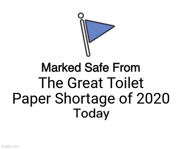 Marked Safe From Meme | The Great Toilet Paper Shortage of 2020 | image tagged in memes,marked safe from | made w/ Imgflip meme maker