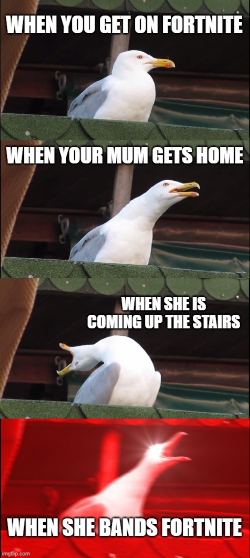 Inhaling Seagull Meme | WHEN YOU GET ON FORTNITE; WHEN YOUR MUM GETS HOME; WHEN SHE IS COMING UP THE STAIRS; WHEN SHE BANDS FORTNITE | image tagged in memes,inhaling seagull | made w/ Imgflip meme maker