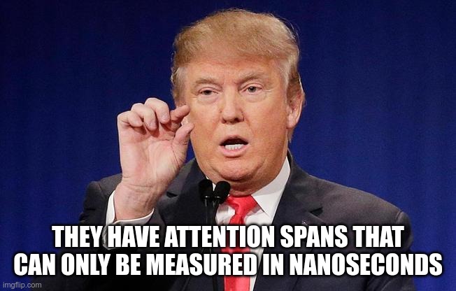 This much | THEY HAVE ATTENTION SPANS THAT CAN ONLY BE MEASURED IN NANOSECONDS | image tagged in this much | made w/ Imgflip meme maker