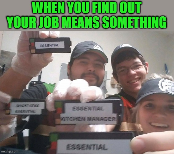 WHEN YOU FIND OUT YOUR JOB MEANS SOMETHING | image tagged in essential | made w/ Imgflip meme maker