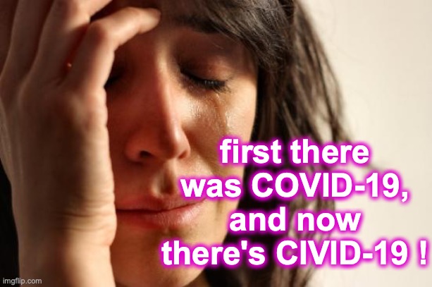 First World Problems Meme | first there was COVID-19, and now there's CIVID-19 ! | image tagged in memes,first world problems | made w/ Imgflip meme maker