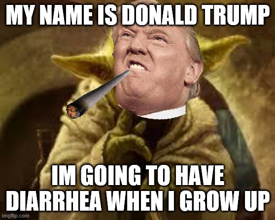 yoda | MY NAME IS DONALD TRUMP; IM GOING TO HAVE DIARRHEA WHEN I GROW UP | image tagged in yoda | made w/ Imgflip meme maker