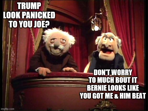 true | TRUMP LOOK PANICKED TO YOU JOE? DON'T WORRY TO MUCH BOUT IT BERNIE LOOKS LIKE YOU GOT ME & HIM BEAT | image tagged in statler and waldorf,bernie sanders,donald trump,joe biden | made w/ Imgflip meme maker