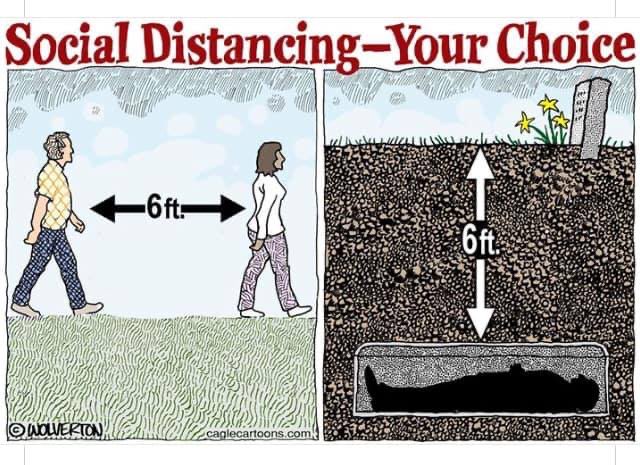 covid Blank Meme Template