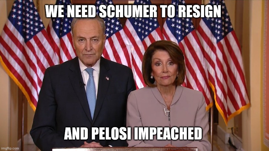 Chuck and Nancy | WE NEED SCHUMER TO RESIGN; AND PELOSI IMPEACHED | image tagged in chuck and nancy | made w/ Imgflip meme maker