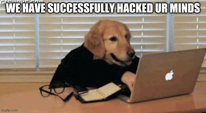 Dogooo Hacker | WE HAVE SUCCESSFULLY HACKED UR MINDS | image tagged in dogooo hacker | made w/ Imgflip meme maker