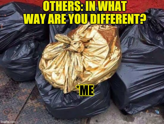 Golden Trash | OTHERS: IN WHAT WAY ARE YOU DIFFERENT? *ME | image tagged in golden trash | made w/ Imgflip meme maker