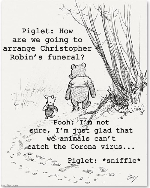 Virus the Pooh | Piglet: How are we going to arrange Christopher Robin’s funeral? Pooh: I’m not sure, I’m just glad that we animals can’t catch the Corona virus... Piglet: *sniffle* | image tagged in corona virus,winnie the pooh | made w/ Imgflip meme maker