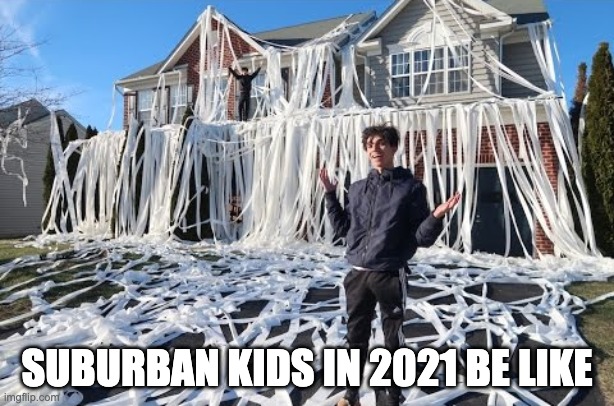 suburban kids in 2021 be like | SUBURBAN KIDS IN 2021 BE LIKE | image tagged in suburban kids in 2021 be like | made w/ Imgflip meme maker