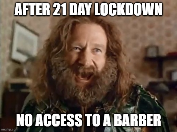 What Year Is It Meme | AFTER 21 DAY LOCKDOWN; NO ACCESS TO A BARBER | image tagged in memes,what year is it | made w/ Imgflip meme maker