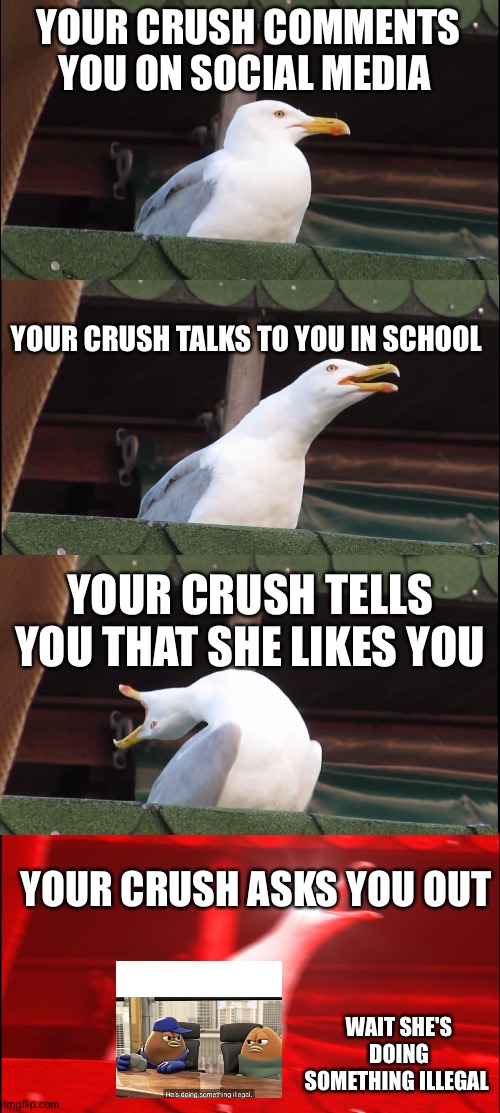 Inhaling Seagull Meme | YOUR CRUSH COMMENTS YOU ON SOCIAL MEDIA; YOUR CRUSH TALKS TO YOU IN SCHOOL; YOUR CRUSH TELLS YOU THAT SHE LIKES YOU; YOUR CRUSH ASKS YOU OUT; WAIT SHE'S DOING SOMETHING ILLEGAL | image tagged in memes,inhaling seagull | made w/ Imgflip meme maker