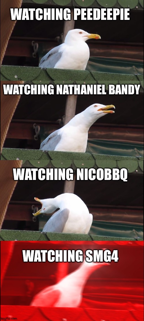 Inhaling Seagull Meme | WATCHING PEEDEEPIE; WATCHING NATHANIEL BANDY; WATCHING NICOBBQ; WATCHING SMG4 | image tagged in memes,inhaling seagull | made w/ Imgflip meme maker