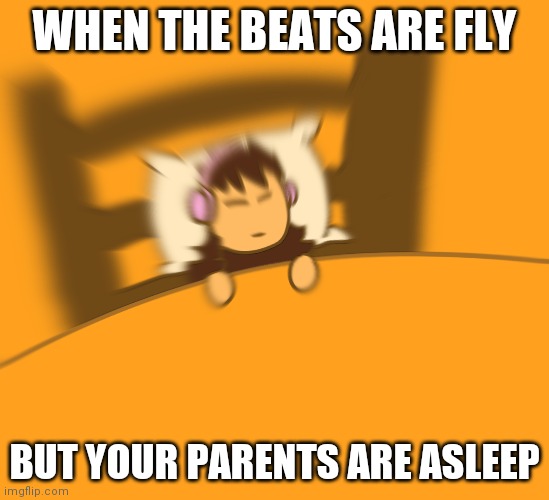 WHEN THE BEATS ARE FLY; BUT YOUR PARENTS ARE ASLEEP | image tagged in music | made w/ Imgflip meme maker