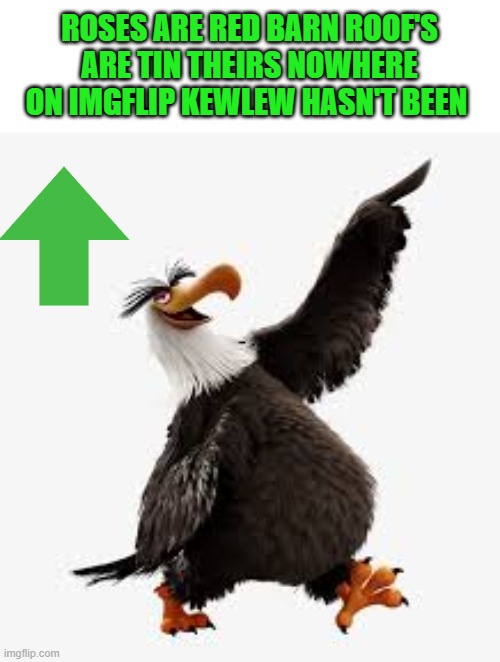 angry birds eagle | ROSES ARE RED BARN ROOF'S ARE TIN THEIRS NOWHERE ON IMGFLIP KEWLEW HASN'T BEEN | image tagged in angry birds eagle | made w/ Imgflip meme maker
