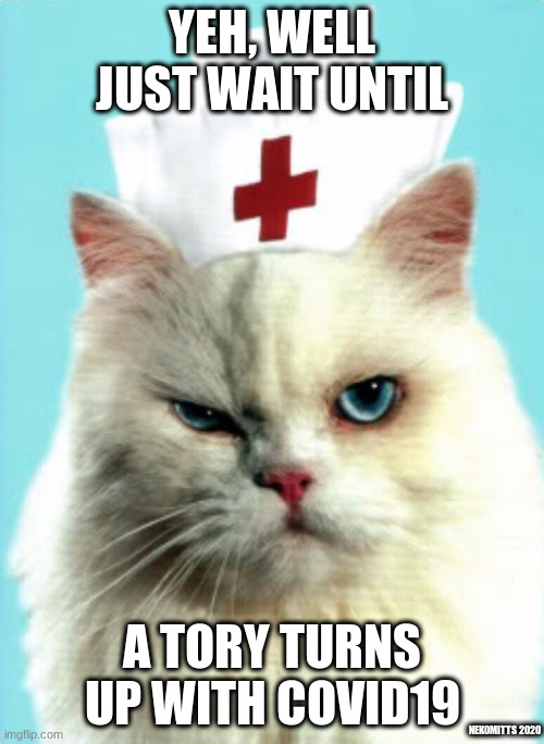 Neko Nurse | YEH, WELL JUST WAIT UNTIL; A TORY TURNS UP WITH COVID19; NEK0MITTS 2020 | image tagged in grumpy or nurse,coronavirus | made w/ Imgflip meme maker