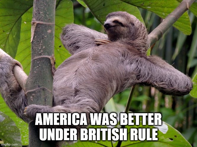 Lazy Sloth | AMERICA WAS BETTER UNDER BRITISH RULE | image tagged in lazy sloth | made w/ Imgflip meme maker