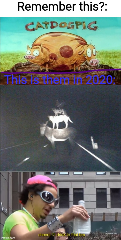 Catdog in 2020 |  Remember this?:; This is them in 2020: | image tagged in cheers ill drink to that bro,catdog,2020 | made w/ Imgflip meme maker